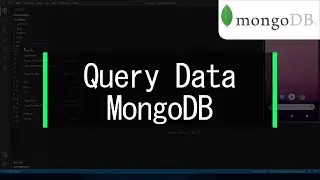 Query Data into MongoDB  -  Flutter