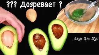 🍀Эксперимент! Дозреваю авокадо за 3 минуты Как дозреть авокадо Люда Изи Кук обед ужин салат закуска