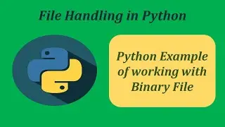Python Example of Working With Binary File