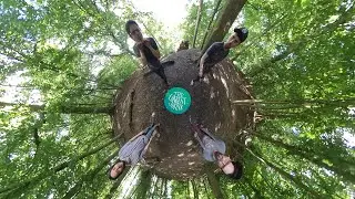 The Wellerman | The Longest Johns - 360 Video in a Forest