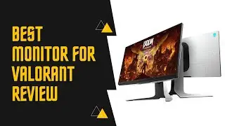 Best Monitor For Valorant – A List from The Expert