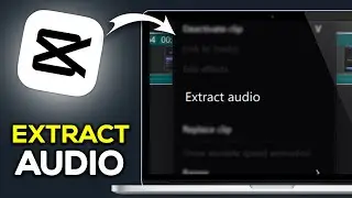 How To Extract Audio From Video In CapCut PC (2024)