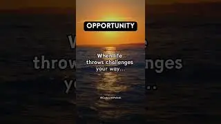 Best Motivational Quotes for Daily Inspiration 