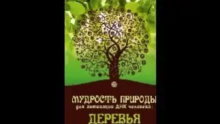 Как узнать своё предназначение, для чего живёшь на Земле & Banisteriopsis caapi