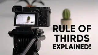 Rule of Thirds for Beginners in Photography | What Is Rule of Thirds | The Rule of Thirds Explained