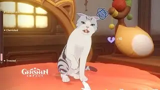 Place Bunny's Furnishing and Obtain Friendship Level
