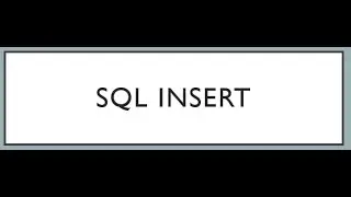 SQL INSERT Statements with two variations.
