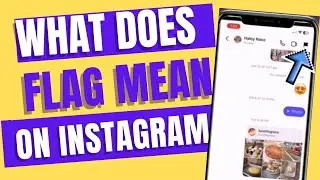 What does it mean when you Flag someone on Instagram