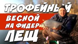 Поклёвки Леща ! Ловля ТРОФЕЙНОГО Леща на фидер! Сжигаем СЕТИ !