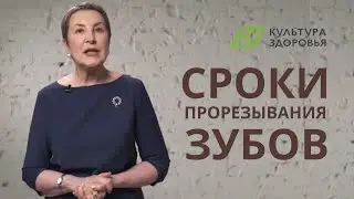 Какие сроки прорезывания зубов?