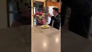We Tried to Copy Them
