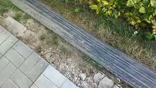 17 июня. Рассуждаю и показываю