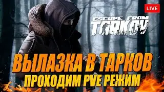 Вылазка в Тарков PvE (пробуем настройки стрима)