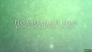 Эндоскоп в качестве подводной камеры летом. Без лодки и по цветущей воде)) Лайфхак