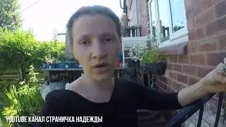 Стройка курятника // Я устала, горошек поспел