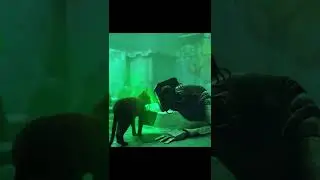 😿🤖 УМИРАЮЩИЙ РОБОТ ...  || Stray 