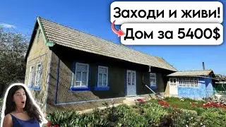 🇺🇦 Заходи и живи! Дом в селе за 5400$ Продажа недвижимости за копейки! Всё есть! Уютное село!