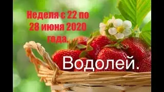 Водолей. Таро-прогноз на неделю с 22 по 28 июня 2020 года.