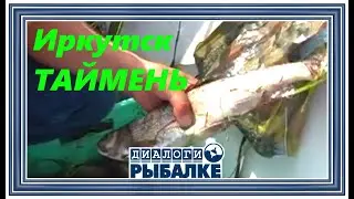 Диалоги о рыбалке - 104 / Таймень. Иркутск