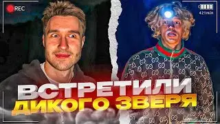 ВСТРЕТИЛИ ДИКОГО ЗВЕРЯ В ЛЕСУ! | УГАРНАЯ НОЧЬ В ДОМЕ НА КОЛЁСАХ