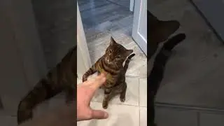 чуть что так в драку)))
