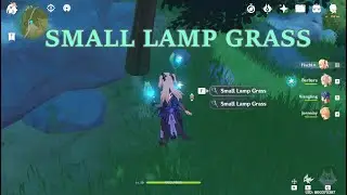 Small Lamp Grass Locations | Genshin Impact