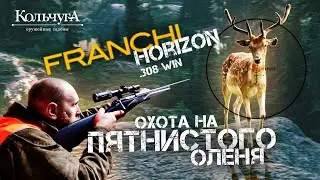 Охота на пятнистого оленя с Franchi Horizon