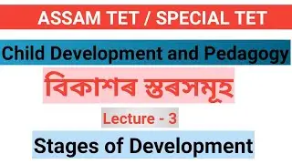 L - 3 || বিকাশৰ স্তৰ বা বিভাজন || Stages of Development || ATET, STET