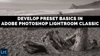 DEVELOP PRESET Basics In Adobe Photoshop LIGHTROOM CLASSIC