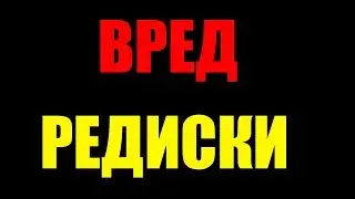 Польза и вред редиски