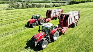 Massey Ferguson 6475, 7495, 7624 & 7719S Chopping Grass w/ JF ES4200 Forage Harvester | Grass Season