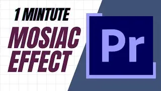 How to add Mosiac Effect in Adobe Premiere Pro | 