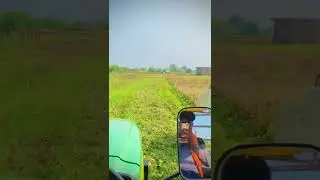 #harvesting#farming #shootbyiphone#kheti#moong