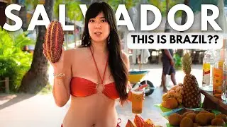 BRAZIL'S UNKNOWN TROPICAL PARADISE (Salvador)