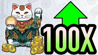BOOK OF MEOW • $BOMEOW | $50M in 3 DAYS?! SECRET SOLANA 100X GEM 🐈 🔥