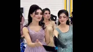 Kurdish Wedding Dance Video - GORGEOUS BEAUTIES Colourful Outfits & Lively Music | Top 5