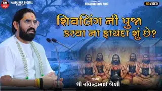 શિવ પૂજા | શિવલિંગ પર શું ચડે શું ના ચડે ? | Shree Ravindra Joshi
