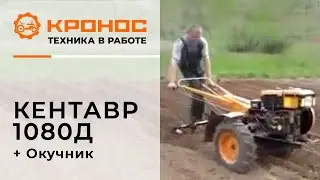 Нарезание рядков окучниками и мотоблоком Кентавр 1080Д (Toyokawa) (kronos5.by/kronos5.ru)