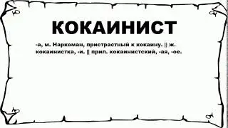 КОКАИНИСТ - что это такое? значение и описание