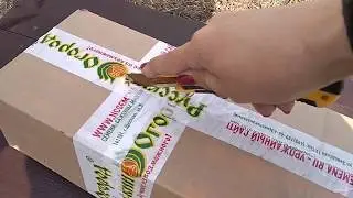 Саженцы из РУССКОГО ОГОРОДА. Обзор посылки.