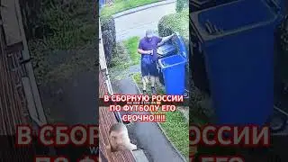 когда и сам не знал.... #funny #humor