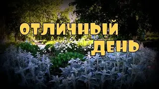 Отличный день | Прогулка по бульвару | Субботнее утро