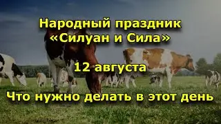 Народный праздник «Силуан и Сила». 12 августа. Что нужно делать в этот день.