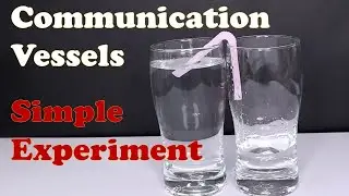 Communication Vessels | Experiment with water | Easy experiments for kids | Fundoor Amaze #Shorts