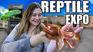 Picking up My GIRLFRIEND'S DREAM snake at a REPTILE EXPO!!