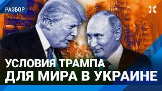 Переговоры Путина и Трампа: Европа возмущена. Условия президента США для мира в Украине. Шанс Китая