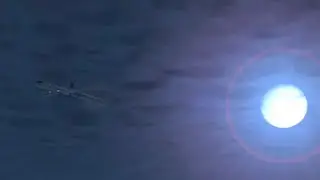 Perfect Landing Airline Commander | Full flaps extended Landing