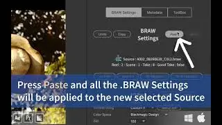 How to color grade Blackmagic RAW in Premiere Pro with BRAW Studio Panel