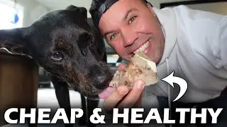 The Best Affordable Dog Bones (Healthier, Tastier & Cheaper!)