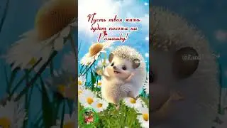 🌼 Здравствуй, хороший человек!🌼 Пусть твоя жизнь будет похожа на ромашку.🌼